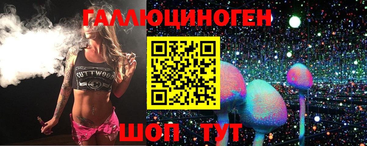 Галлюциногенные грибы Psilocybine cubensis  Вход с VPN  Артём 