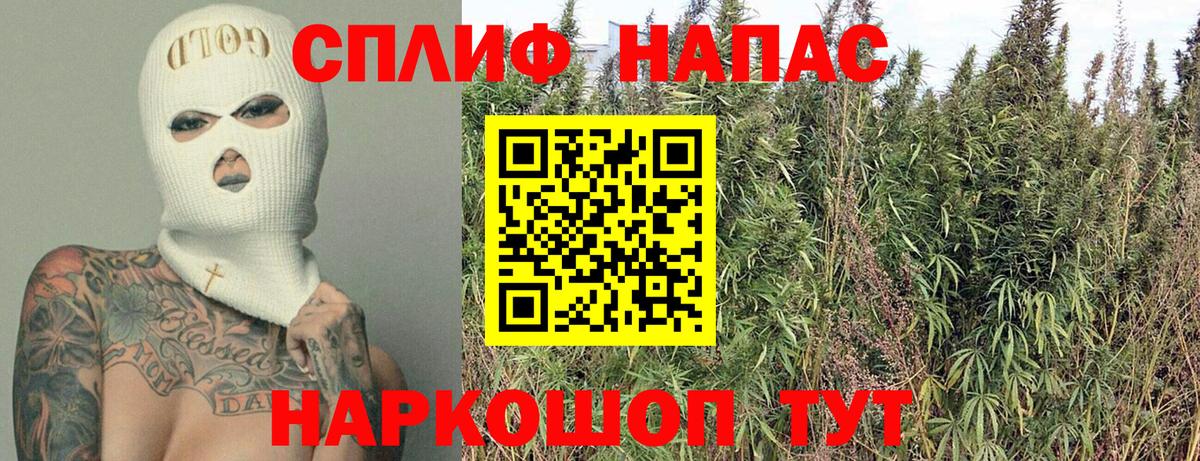 Бошки Шишки SATIVA & INDICA  Артём  Бошки марихуана сатива  Каннабис гибрид 